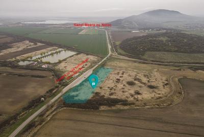 Teren de 8600 mp, în Central - 2