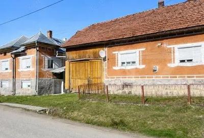 Casă cu 4 camere cu Teren 4605 Mp în Central
