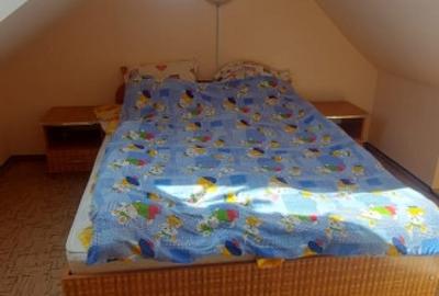 Hotel/Pensiune, de 175 mp, în Baia de Fier - 10