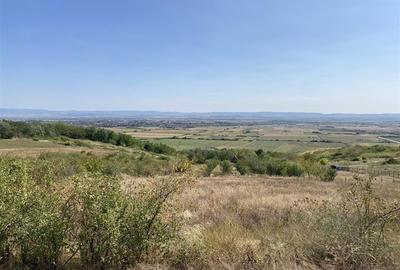 Teren extravilan de vanzare in Tileagd - 3166 mp cu panorama superba - 5