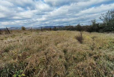 Teren de 1238 mp, în Apahida - 3