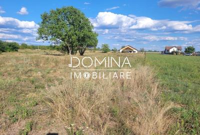 Teren Construcții intravilan de 2593 mp, în Exterior Vest - 8