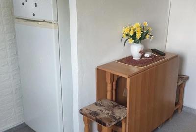 Apartament cu 2 camere semidecomandat în Brazda lui Novac - 7