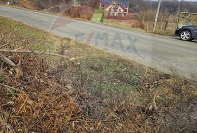 DE VANZARE TEREN INTRAVILAN CISNADIOARA/ Str. SIBIULUI DJ 106D - 12