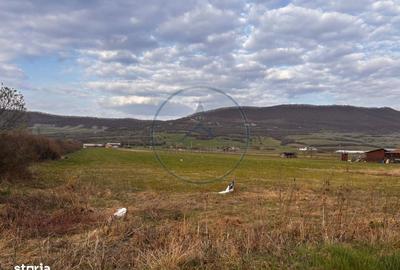 Spațiu comercial, în Șieu - 2