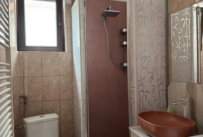 Garsonieră decomandată în Dumbrăvița - 4
