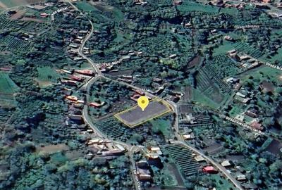 Teren intravilan Lamaseni 3.000 mp - 3