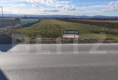 Teren intravilan ,4900 mp , 25ml front, Fratautii Vechi, Rad - 2