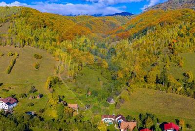 COMISION 0% Teren 11,381 mp Moieciu de Jos / Oportunitate... - 17