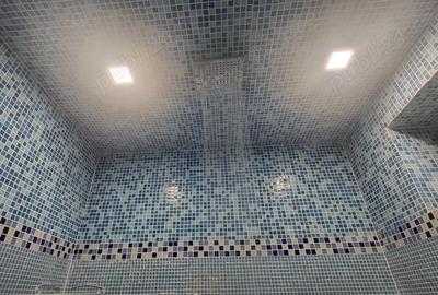 Proprietar - Casa spa?ioasa in centrul comunei Giarmata - 6