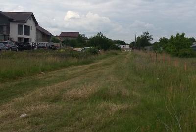 Teren de 1800 mp, în Cornetu