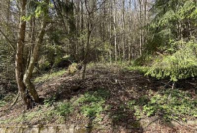 Teren Construcții intravilan de 1136 mp, în Furnica - 3