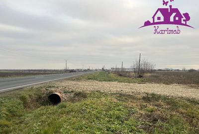 Teren industrial la soseaua nationala Nojorid les - 3