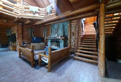 Vila de vacanta situata in Busteni - 9