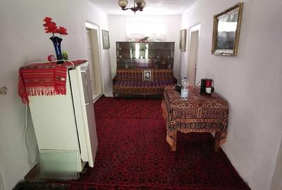 Casă cu 4 camere cu Teren 4212 Mp în Lupșa de Sus - 6