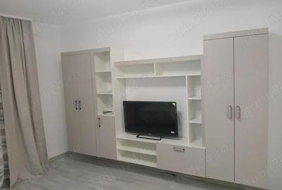 Garsoniera-th pallady-mizil-modern - 2