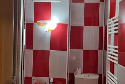 Apartament cu 2 camere semidecomandat în Central - 8