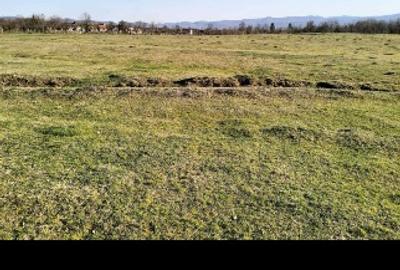 Teren agricol extravilan de 10600 mp, în Dieci - 3