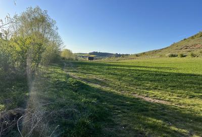 Spațiu comercial, în Sava - 4