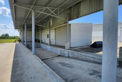 Spatiu industrial productie/ depozitare, Timiș - 6