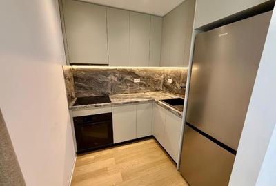 Apartament cu 2 camere semidecomandat, mobilat în Aviației - 8