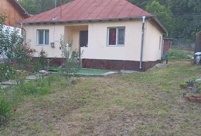 Casă cu 2 camere cu Teren 999 Mp în Central