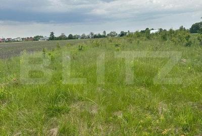 Casa individuala, Teren 9200 mp ,zona Fratautii Noi, Radauti - 4