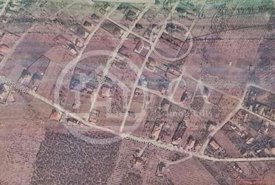 Teren de 793 mp, în Paleu - 3