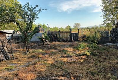 Spațiu comercial, în Putna - 6