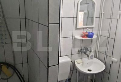 Casă cu 1 camere cu Teren 2500 Mp în Mintiu Gherlii - 9