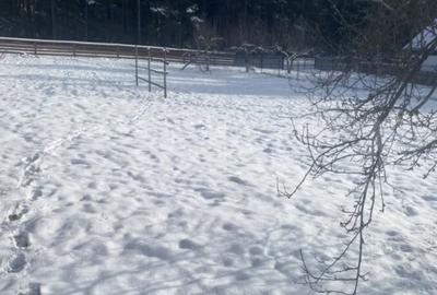 Casă cu 3 camere cu Teren 3450 Mp în Central - 2