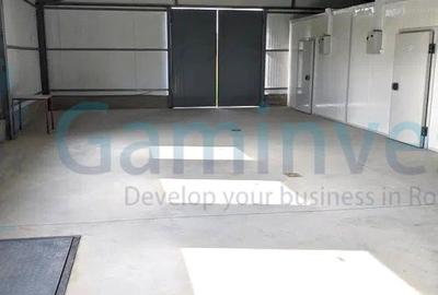 Spațiu industrial, de 170 mp, în Grădinari - 3