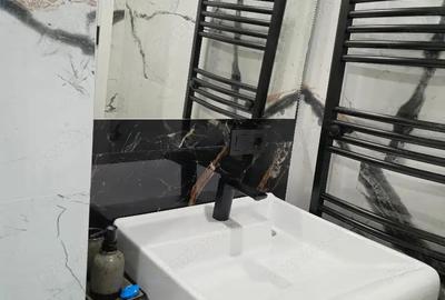 De vanzare apartament cu o camera in zona Elisabetin - 2