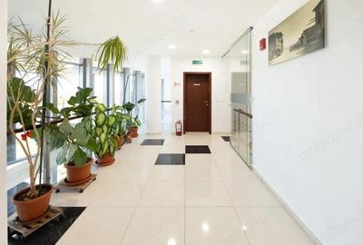 Spa?iu birouri ?i logistica in cladirea Volvo&Renault Trucks Timi? - 11