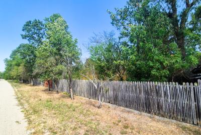 Casa , teren intravilan Urlueni Barla Arges - 2