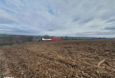 Spațiu comercial, în Izvoarele - 5