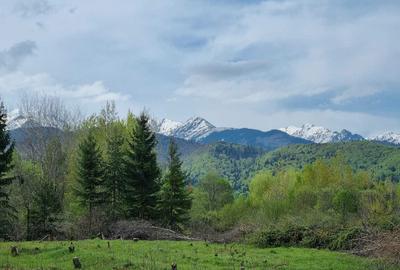 Spațiu comercial, în Viștișoara - 5