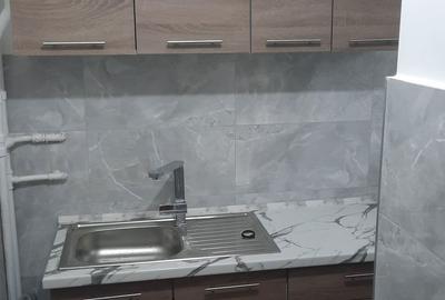 Garsonieră decomandată în Dosu Bricii - 2