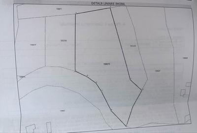 Spațiu comercial, în Borod - 3