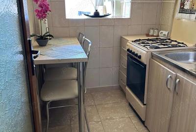Apartament 1 camera Siderurgi?tilor-Vest - 7