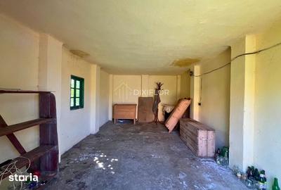 Casă cu 4 camere cu Teren 2349 Mp în Criș - 12