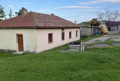 Spațiu comercial, în Ceplenița - 2