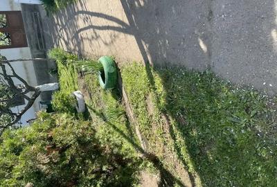 Casă cu 2 camere în Pogana - 4