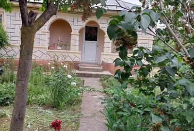 Casă cu 5 camere cu Teren 4000 Mp în Smârdan - 7