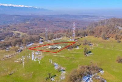 COMIISION 0% Teren cu vedere spectaculoasa 3.100 mp Vladeni - 8