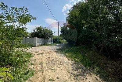 De vanzare teren intravilan 1300 mp - Magurele, Ilfov - 4