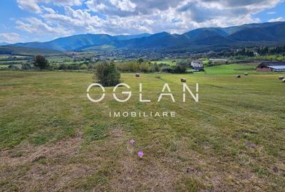 Teren Tocile (parcelabil) 3500 mp - 10