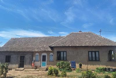 Casă cu 3 camere cu Teren 1100 Mp în Seaca de Câmp - 2