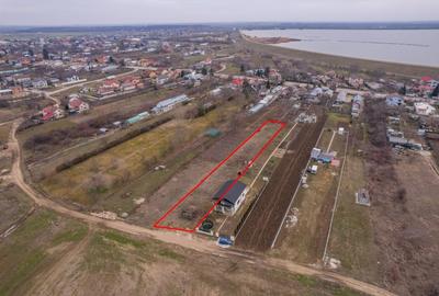Teren Construcții intravilan de 1293 mp, în Cornetu - 11