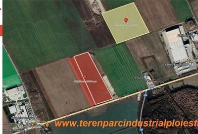 Teren în Vest - 2